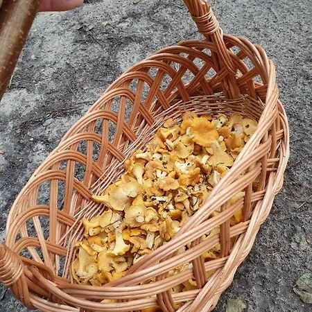 Wislany Przekop * Danzig