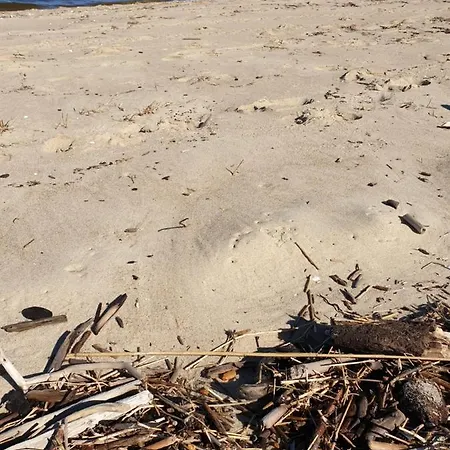 Lejlighed Wislany Przekop *