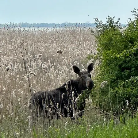 Lejlighed Wislany Przekop Gdańsk
