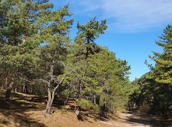 Wislany Przekop Апартаменты Гданьск