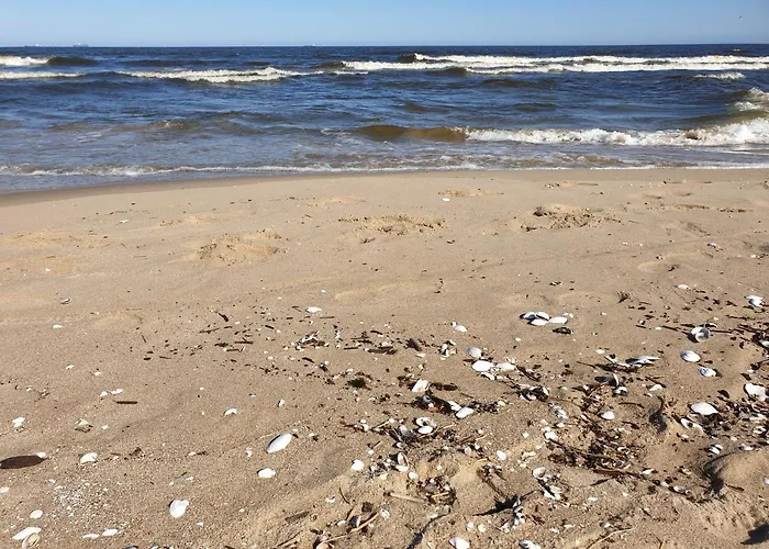 Wiślany Przekop Apartament *