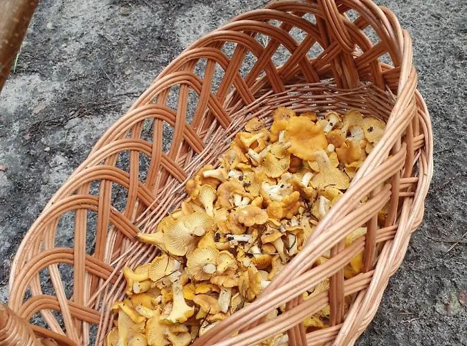 Wislany Przekop * Гданьск