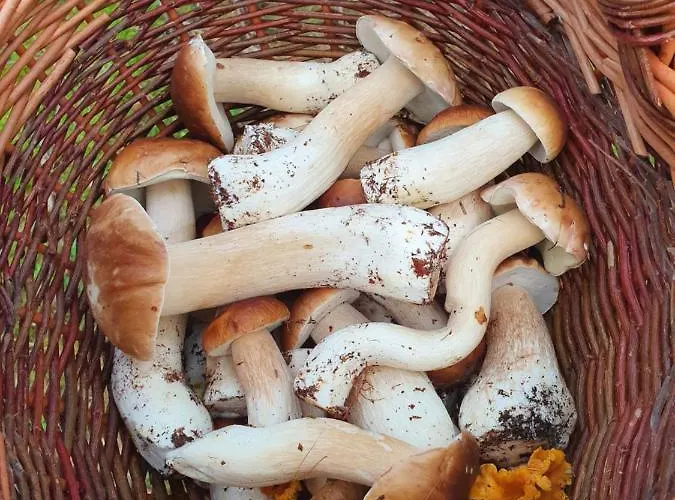 Wislany Przekop Апартаменты Гданьск