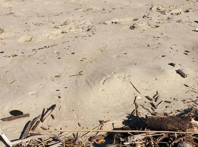 Апартаменты Wislany Przekop *