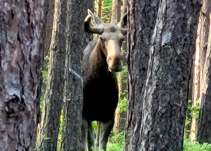 Wislany Przekop * Гданьск
