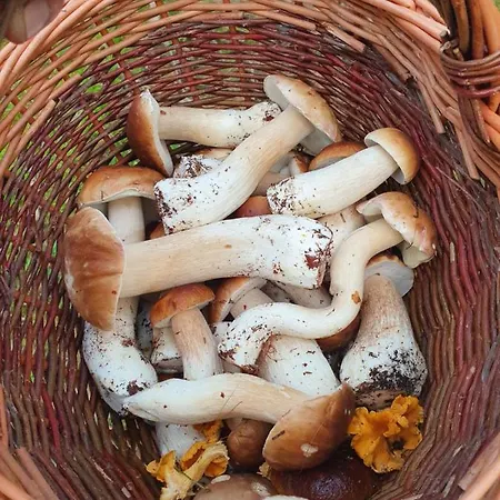 Wislany Przekop Apartmán Gdaňsk